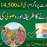 BISP 14500 Payment Status Check Online