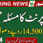 BISP Fingerprint Verification Problem