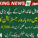 BISP 8171 Payment 2026