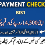 BISP Phase 5 Payment Status Online
