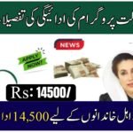 Benazir Kafalat Program Payment Details