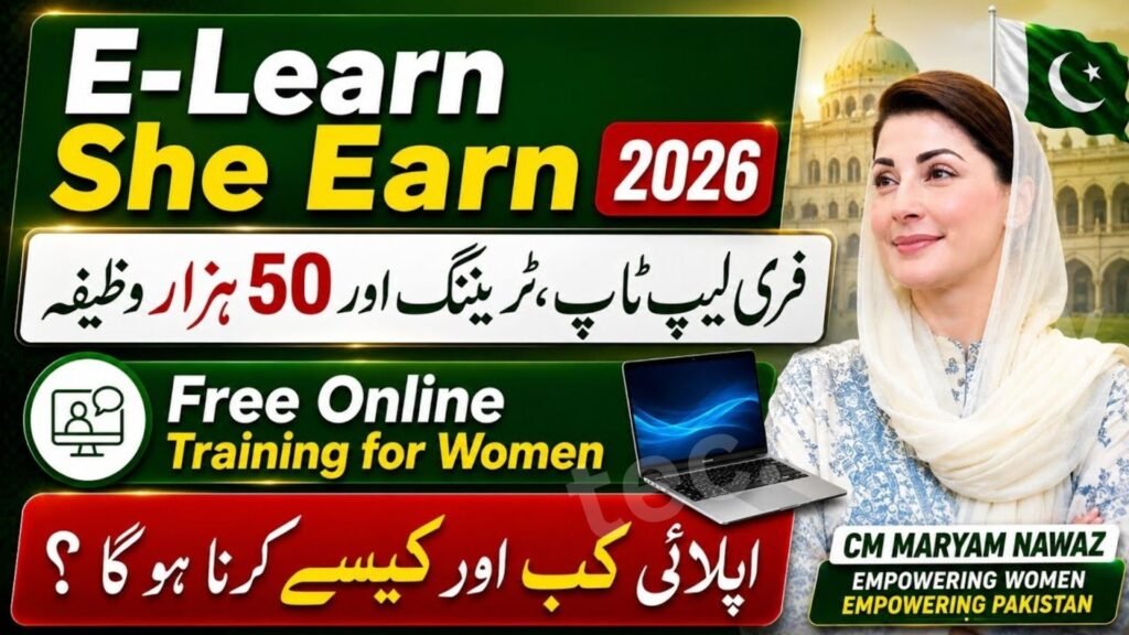 CM Punjab E Learn She Earn Program