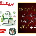 8171 Ehsaas Program CNIC Check Online