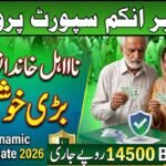 BISP Dynamic Survey Updates