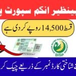 8171 Check Online CNIC