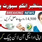 How to Check BISP Balance Online