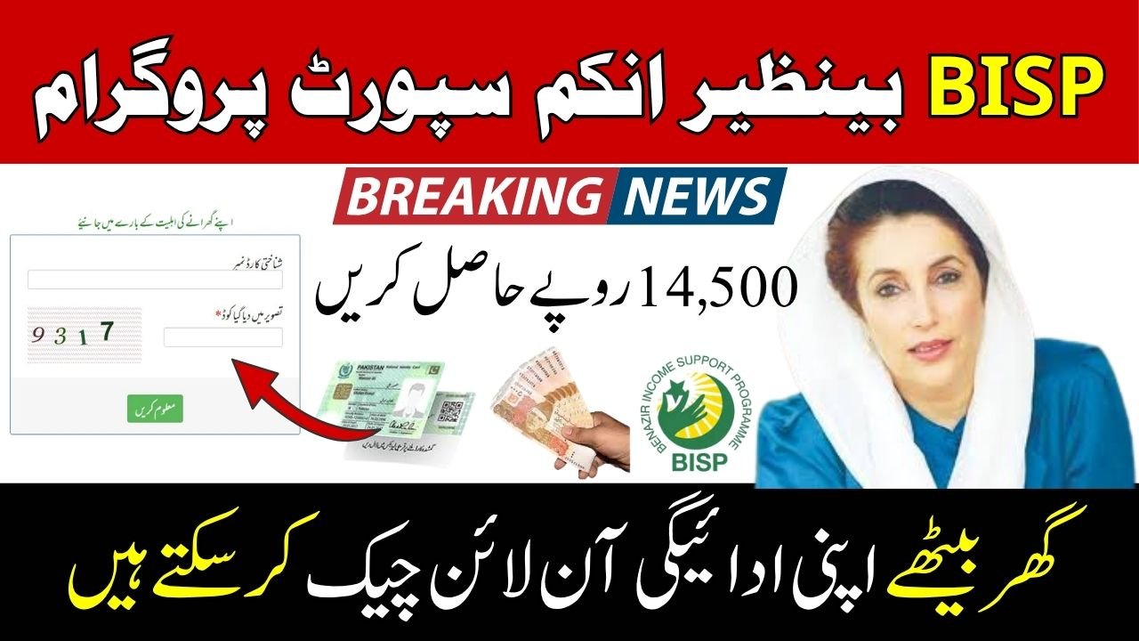 How to Check BISP Balance Online
