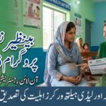 Benazir Nashonuma Program