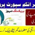 8171 Check Online CNIC