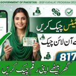 How to Check BISP Kafalat Status